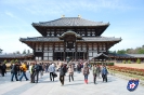 Tōdai-ji - 東大寺