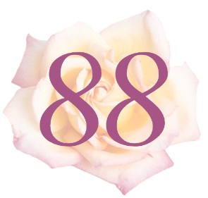 news8803 news8803