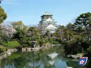 news100-25