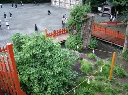news101-24
